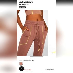 Fabletics Iris Sweatpants SZ L